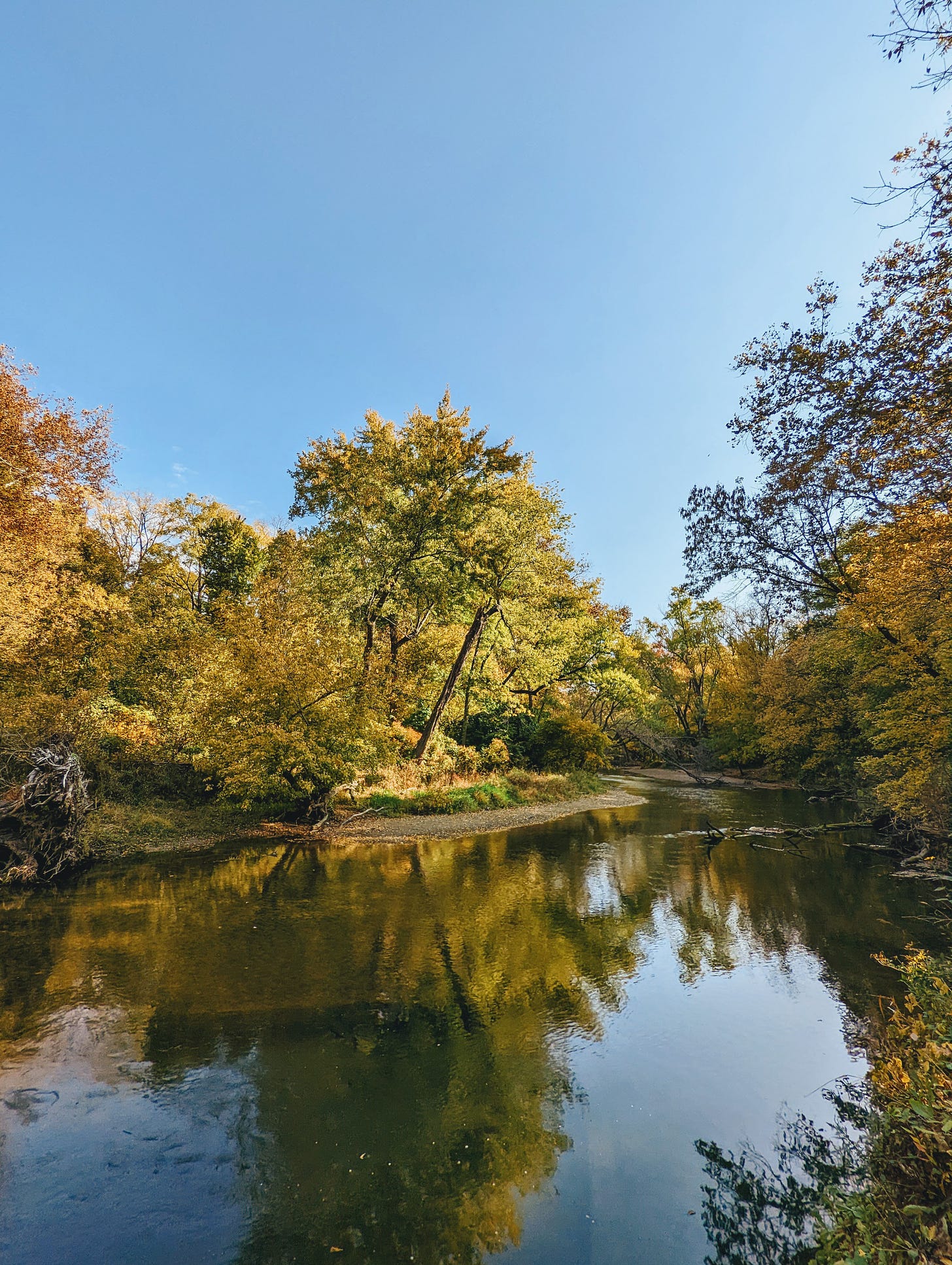A small river reflects the green and yellow leaves of the forest below a cloudless blue sky.