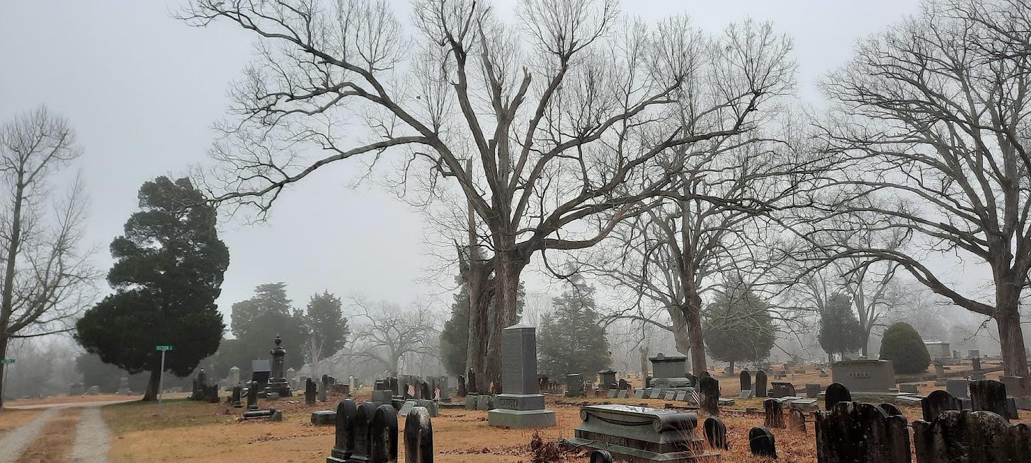A misty wintry view of gravestones and trees. All the colors are muted.