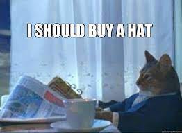 I should buy a hat - I should buy a boat cat - quickmeme
