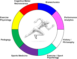 Optimization of Human Performance in: Kinesiology Review Volume 9 Issue 1  (2020)