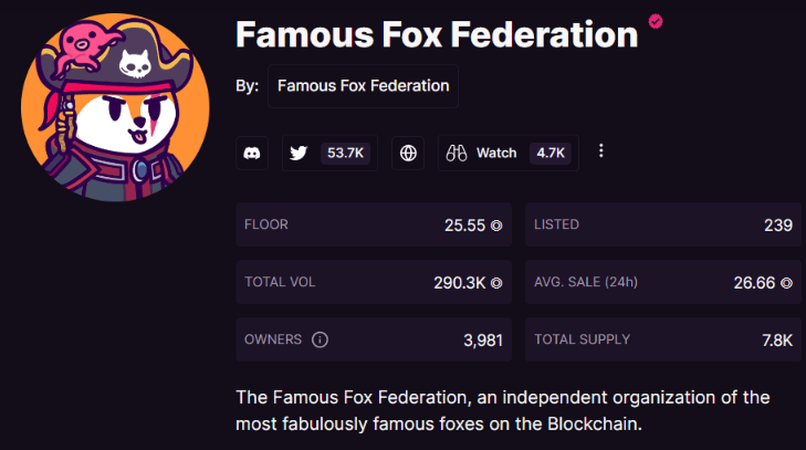 What does Famous Fox Federation do?