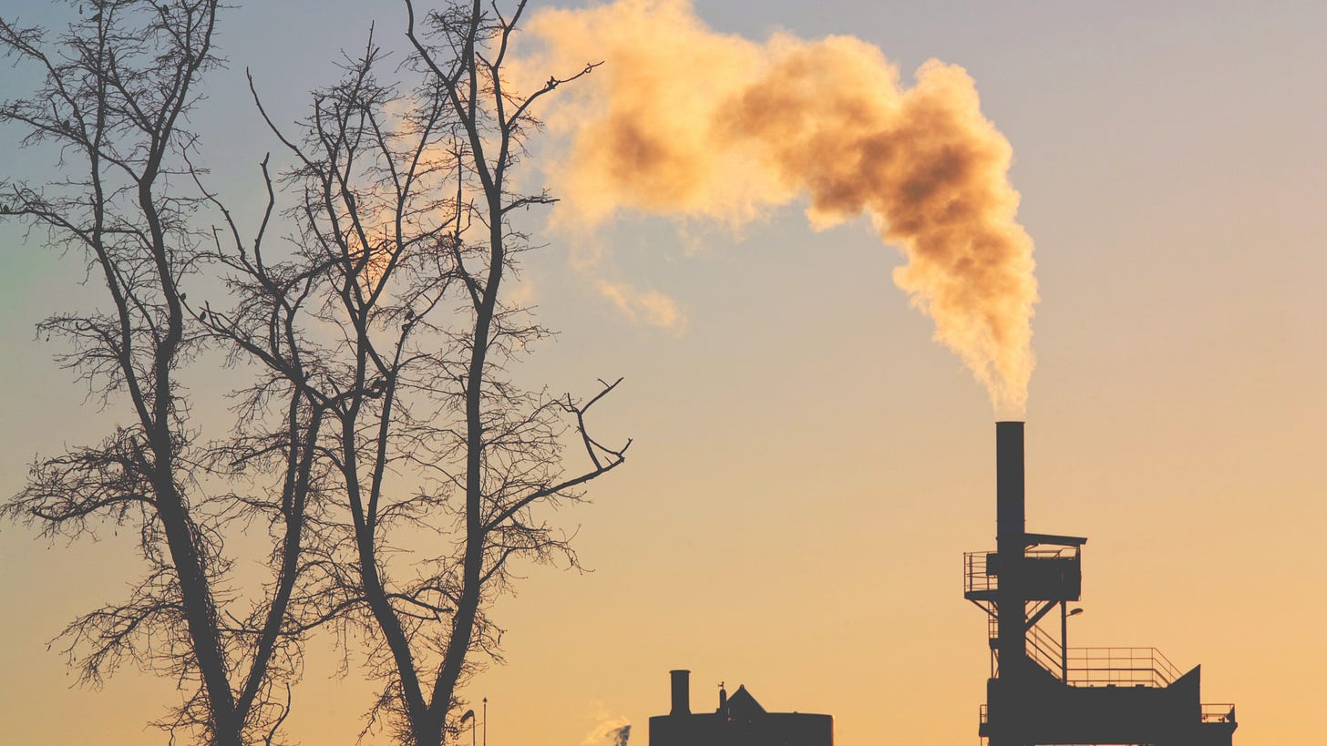 a tree and a factory building spewing smoke