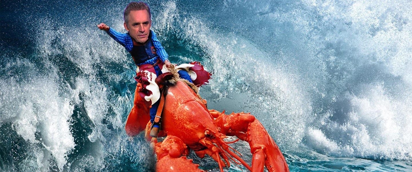 16 Jordan Peterson Memes That Made Me Clean My Room With Laughter |  HighExistence