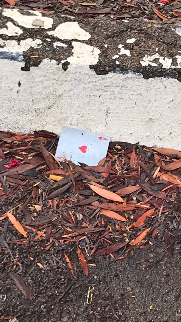 an Ace of Hearts playing card on a soggy pile of leaves.