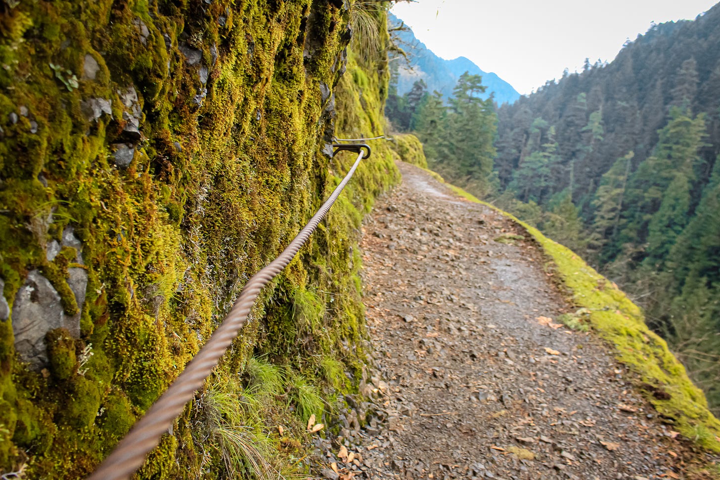 A hiking path along the edge of ravine