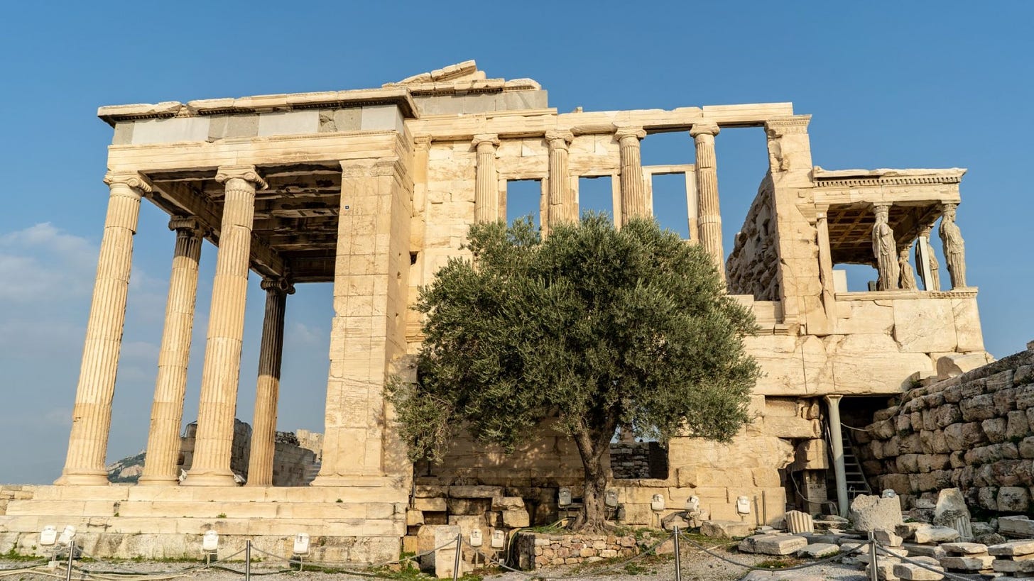 The incredible history of the sacred olive tree of the Acropolis • The  European Times News