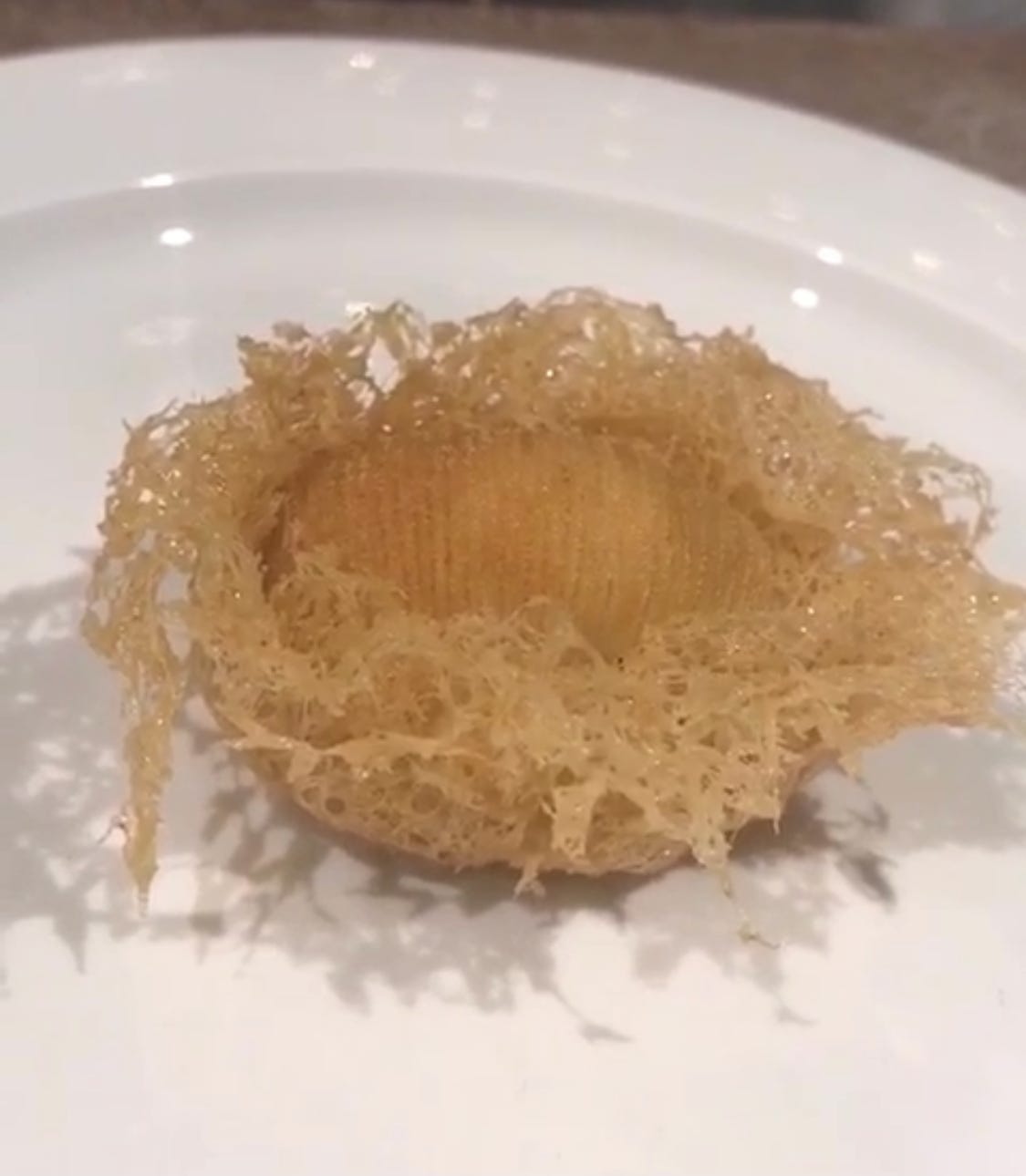 A single baked golden pastry on a white plate