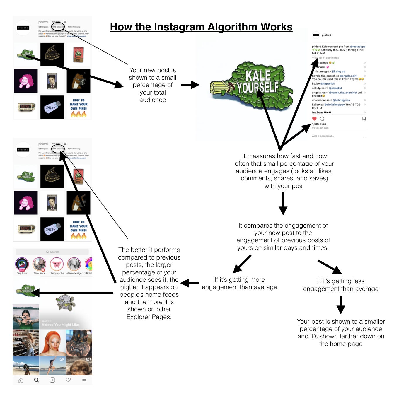 How to trick the Instagram Algorithm | Naomi D'Souza | Writer, Food &  Lifestyle Blogger in Dubai