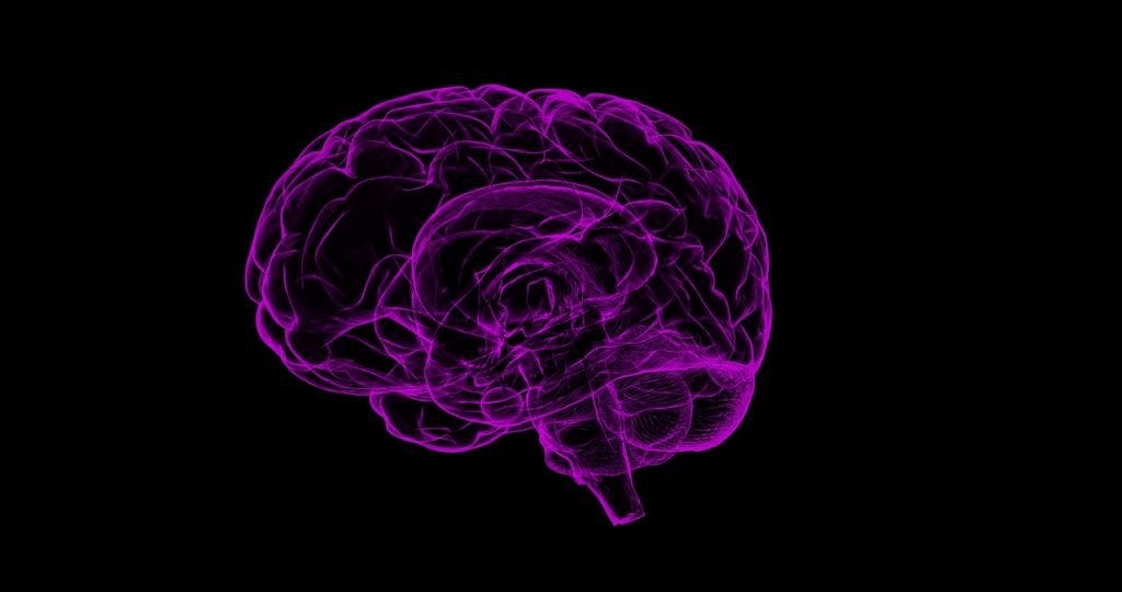 Área cerebro evaluar emociones