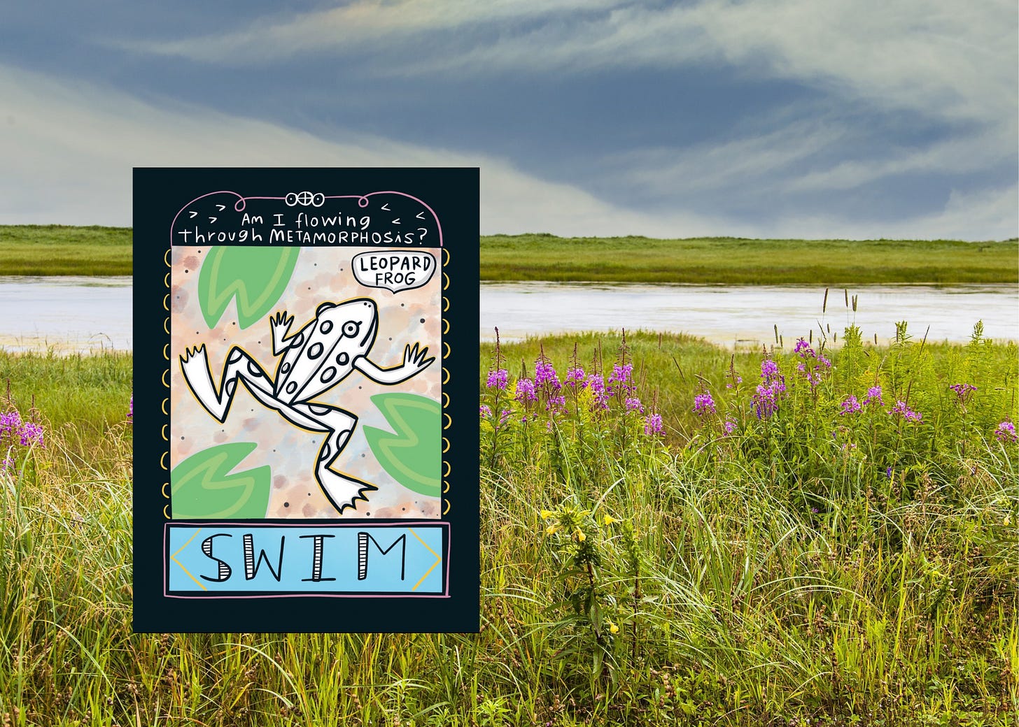 Wetland prairie photo with blue gray sky, river, and grass on bank with wildflowers. Card image of illustrated leopard frog is superimposed on the left.