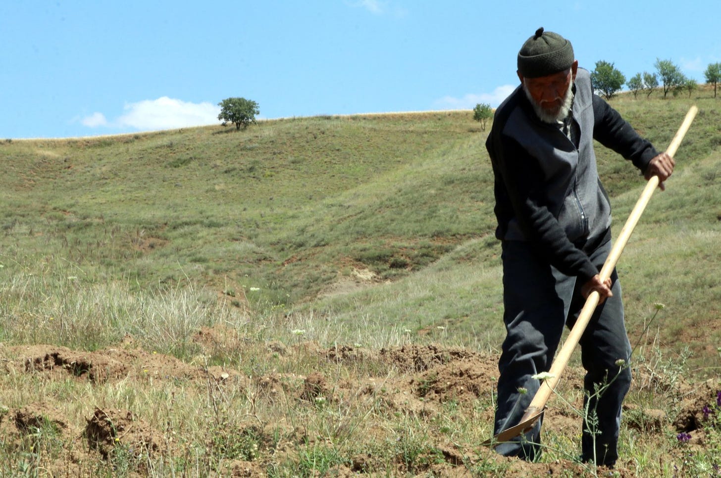 Osman Erol prepares a spot for planting a sapling, in Çankırı, central Turkey, June 28, 2021. (AA PHOTO) 