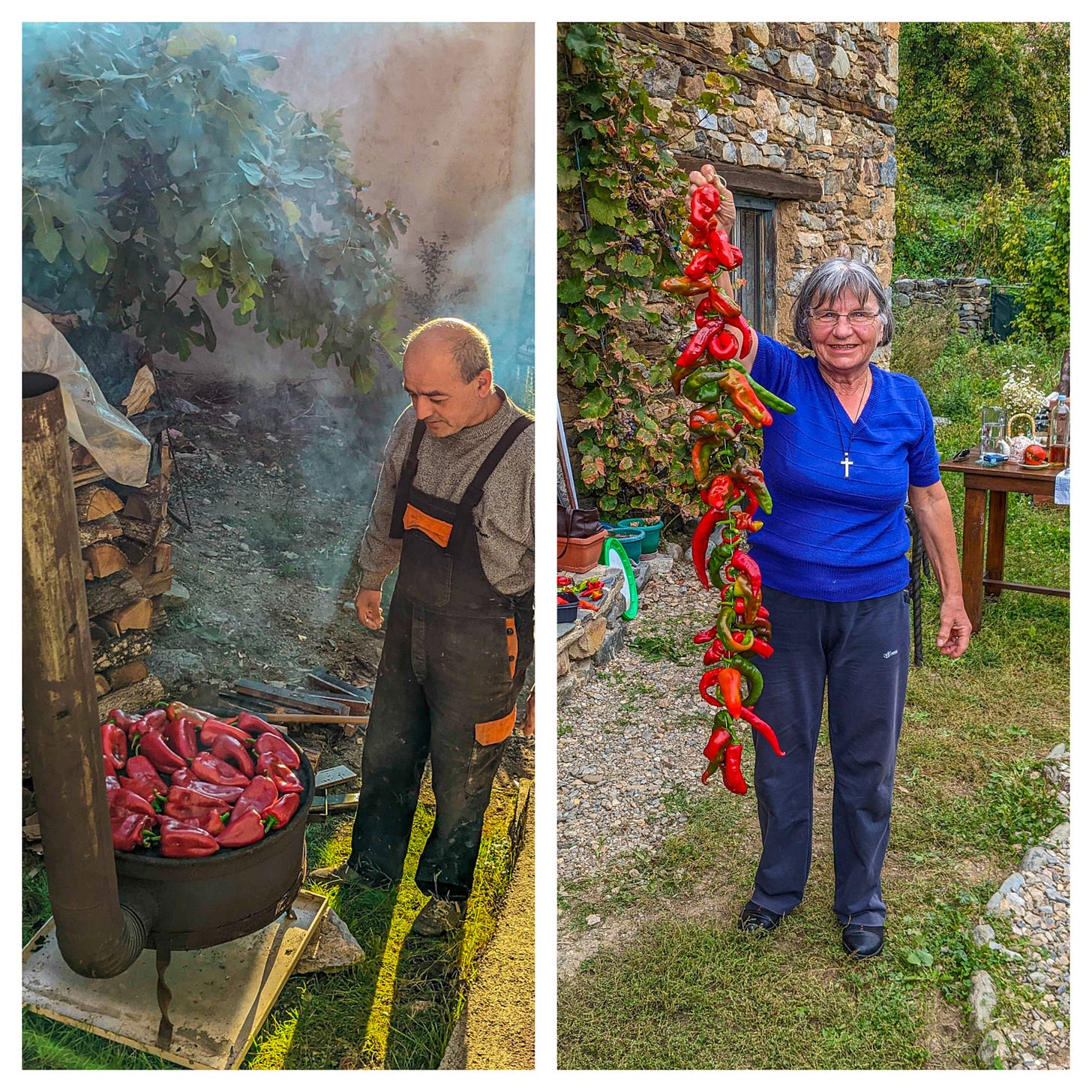 The photo on the left shows a man roasting red peppers, the photo on the right a woman holding up a string of red peppers. 