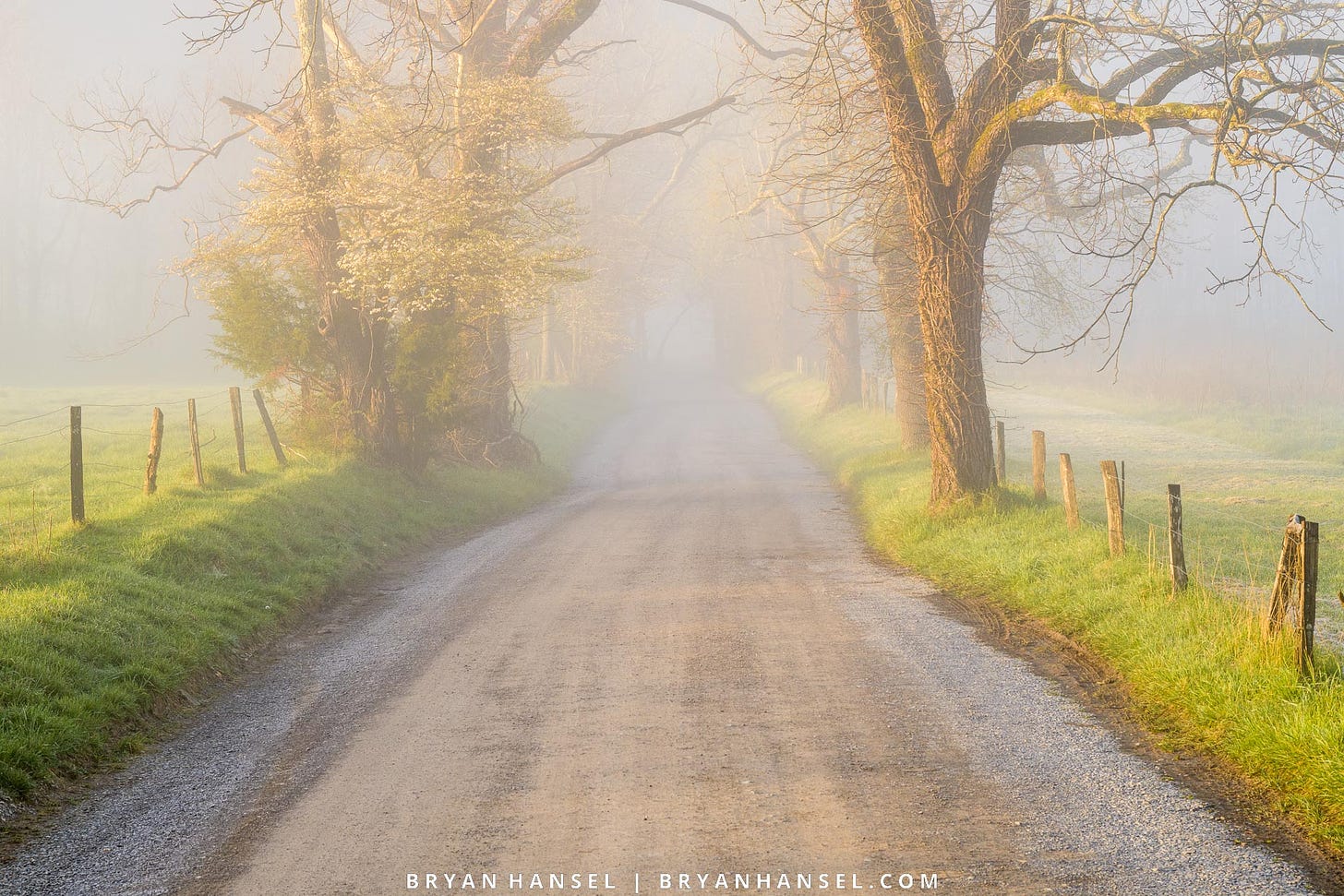 A photo of a gravel road leading off into warm colored fog.