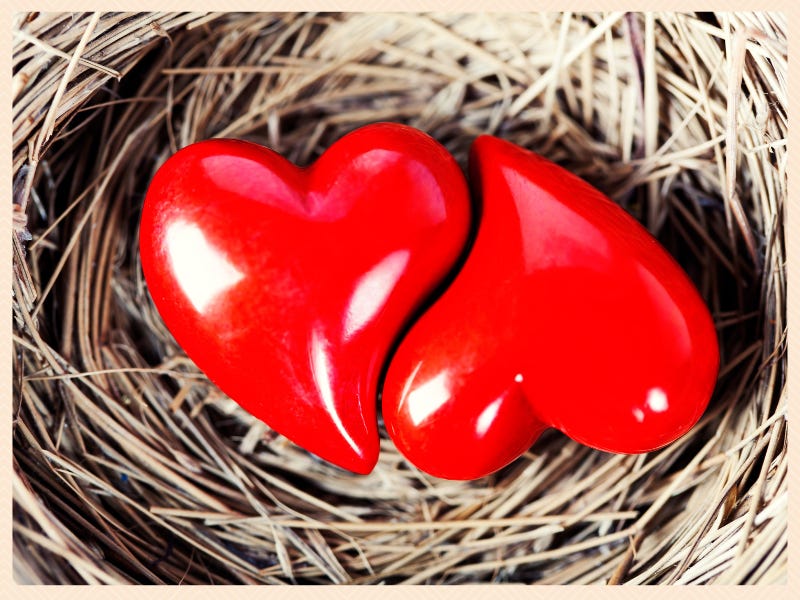Two Heart in harmonious relationship in a nest.