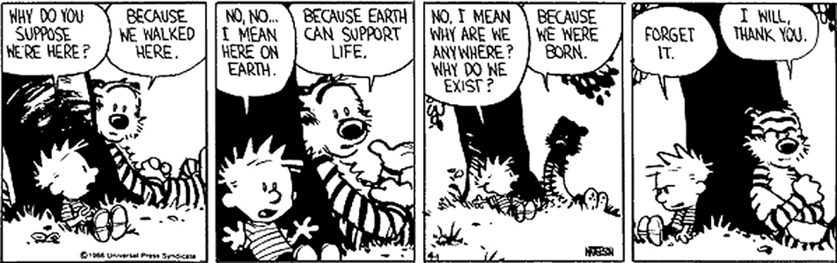 How to avert an existential crisis 101" by Hobbes, the literalist :  r/calvinandhobbes