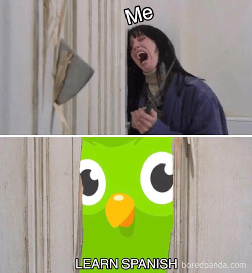 19 Hilarious Duolingo Memes That Prove the Owl is Out to Get You - Let's  Eat Cake