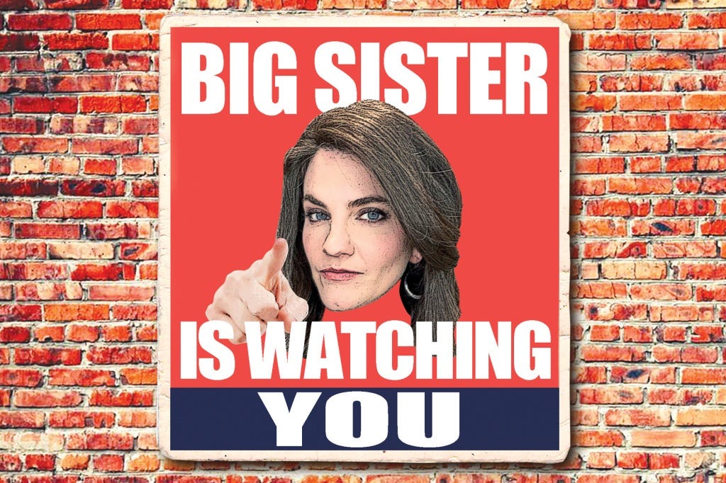 Photo of Nina Jankowicz with text saying "Big sister is watching you."