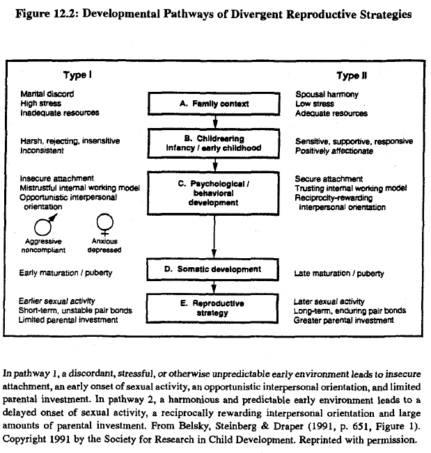 race-evolution-and-behavior-rushton-figure-12-2