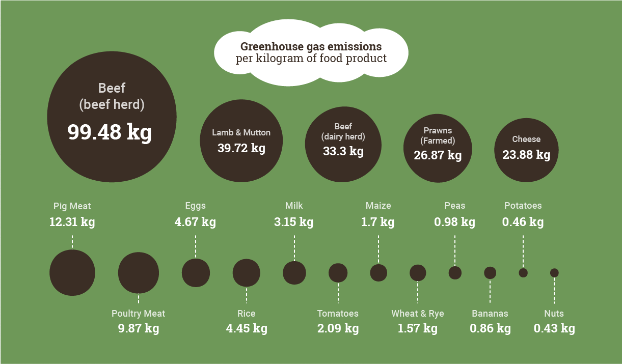 Graphic showing the carbon footprint of different foods as circles scaled to their impact.