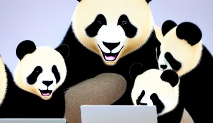 Pandas en réunion