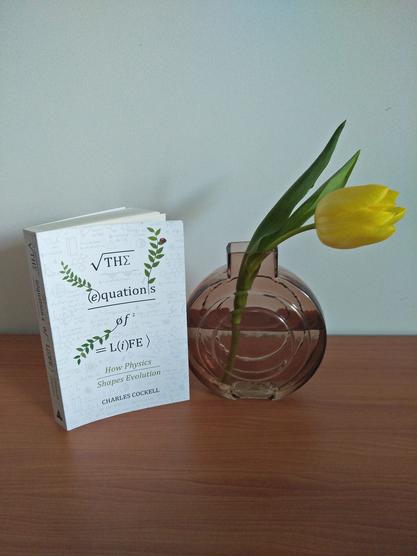 The book "Equations of Life" next to a vase containing a single yellow tulip