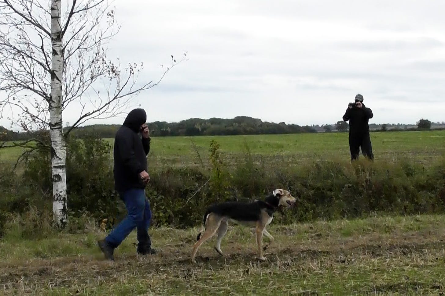 Hare courser walks across field with dog as hunt saboteur looks on, filming