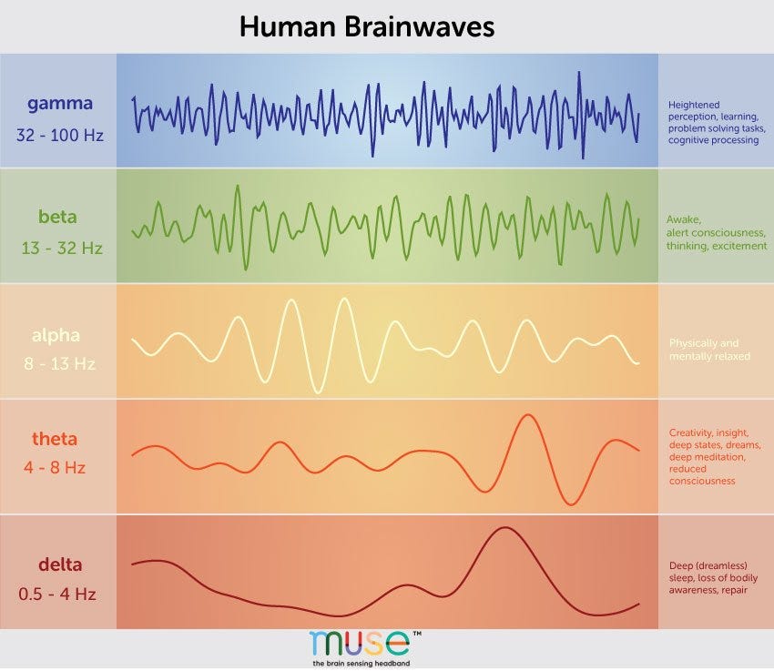 A Deep Dive Into Brainwaves: Brainwave Frequencies Explained