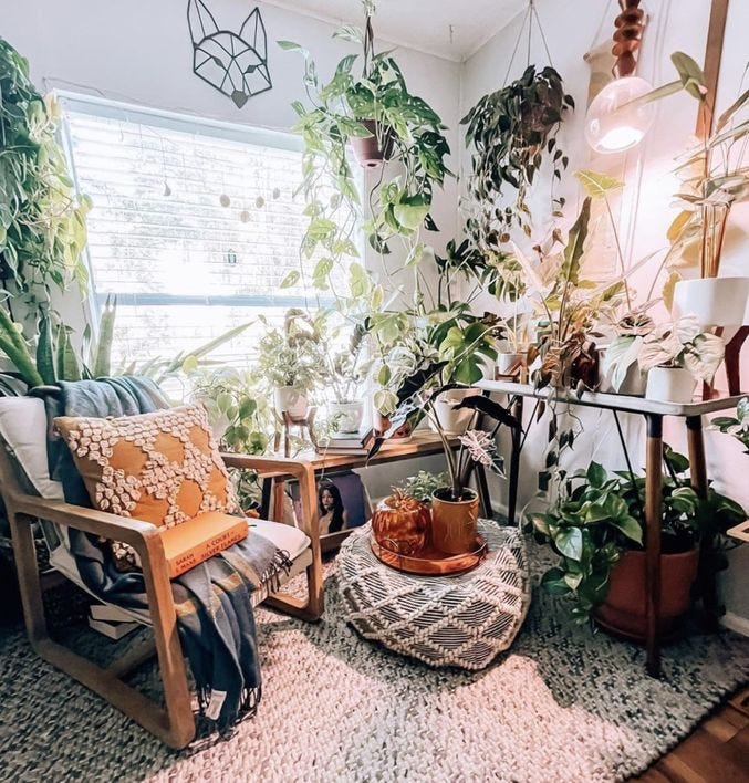40 House Plant Decor Ideas for Every Room of the House ...