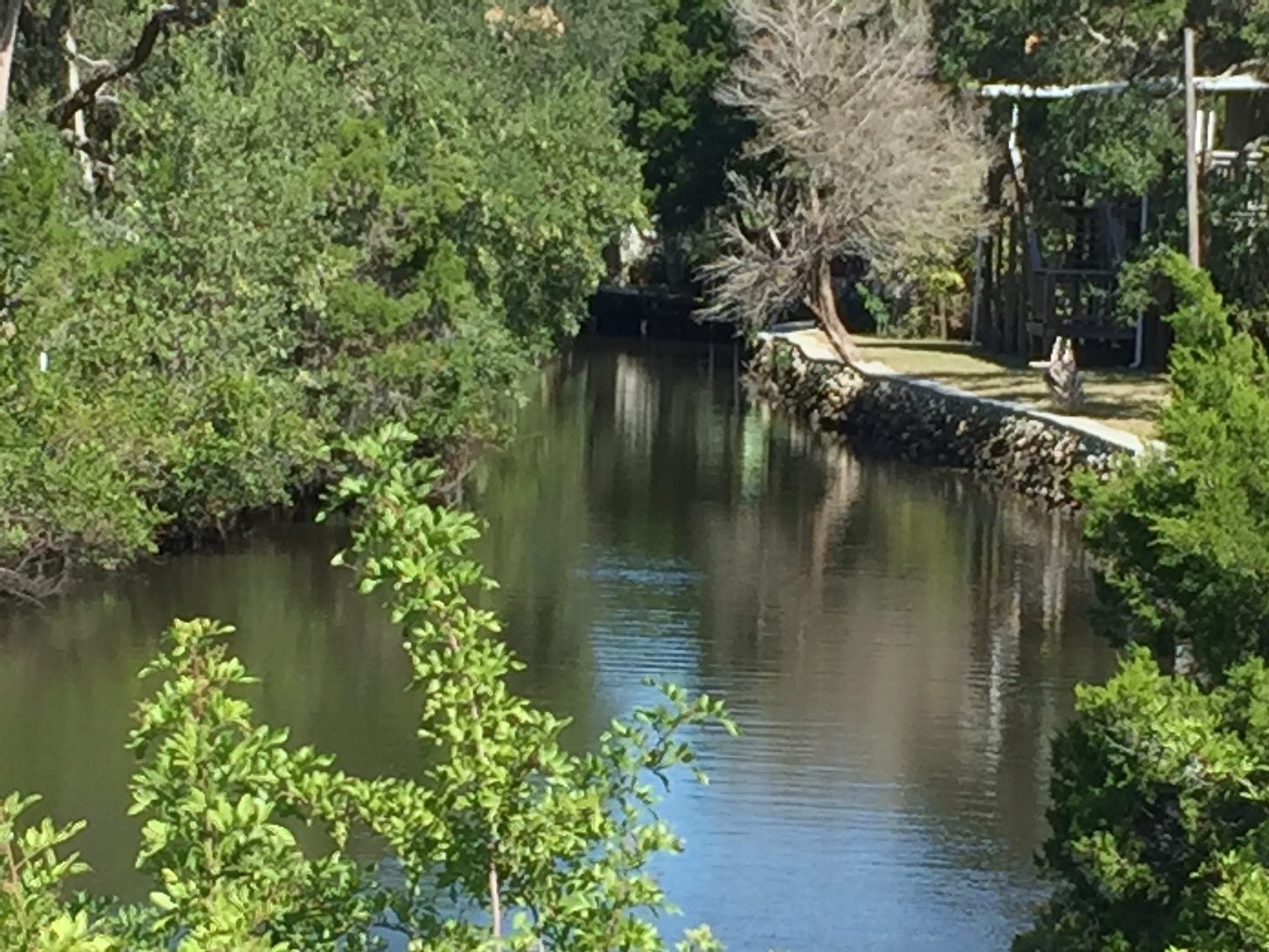 A tidal creek winding through mangroves and along the docks of houses. 