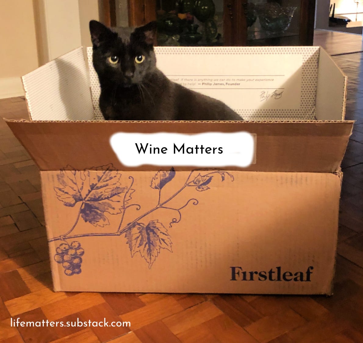 Black cat in Firstleaf wine box labeled Wine Matters