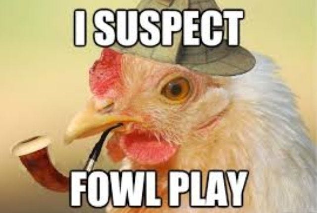 Chicken Memes | BackYard Chickens - Learn How to Raise Chickens
