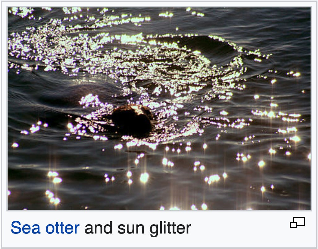 A sea otter swimming in a body of water with sun glitter