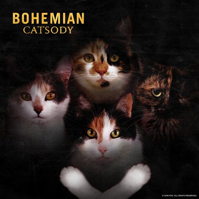 Bohemian Catsody' is the cat-themed Queen cover you didn't know you needed