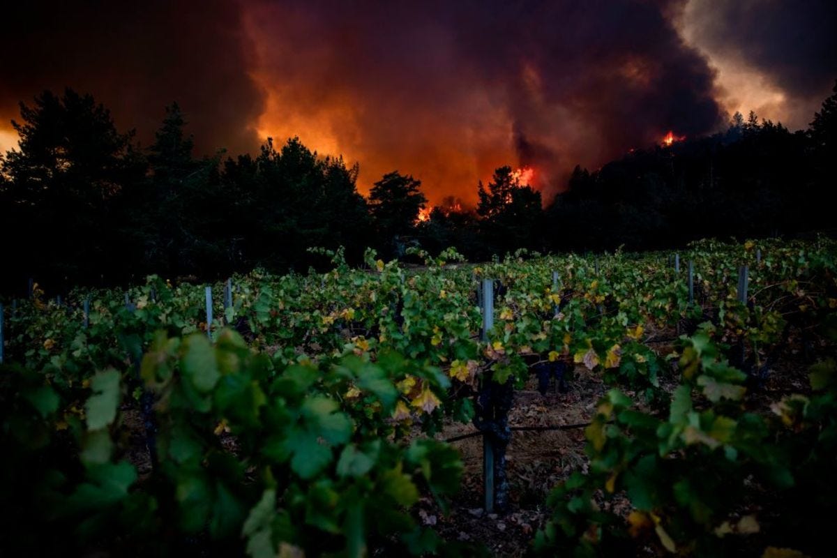 California Wine Country Faces One Burning Question - Bloomberg