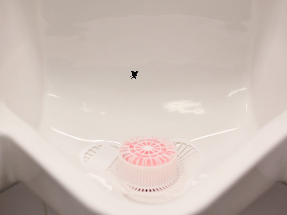 There&#39;s A Fly In My Urinal : Krulwich Wonders... : NPR
