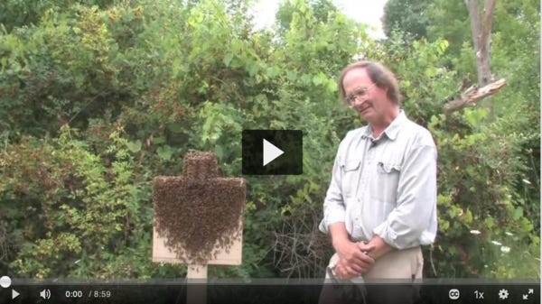 Cornell professor, biologist and beekeeper Thomas Seeley 