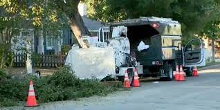 Tree trimmer killed in horrific wood chipper accident | Fox News