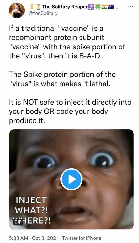 May be an image of 1 person and text that says 'The Solitary Reaper @YonSolitary If a traditional "vaccine" is a recombinant protein subunit "vaccine" with the spike portion of the "virus", then it is B-A-D. The Spike protein portion of the "virus" is what makes it lethal. It is NOT safe to inject it directly into your body OR code your body produce it. INJECT WHAT?! GIF HERE?! 5:33 Oct 8, 2021 Twitter for iPhone'