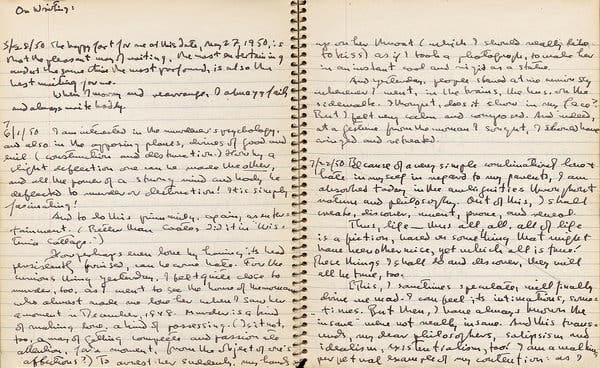 Pages from Highsmith’s journals.