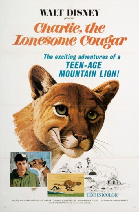 Original theatrical release poster for Walt Disney's Charlie, The Lonesome Cougar