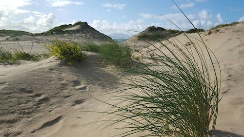 Dunes