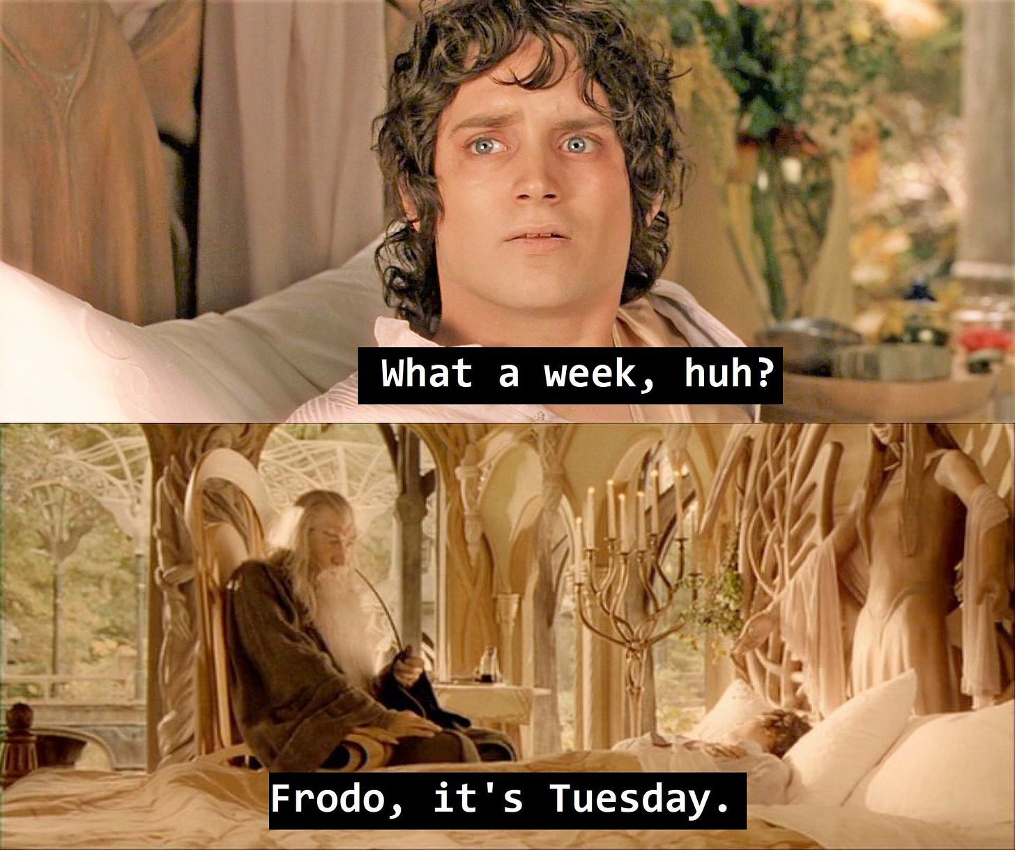 Screencaps from Lord of the Rings, with Frodo waking up in Rivendell in the first frame, Gandalf next to his bed smoking a pipe in the second. The first screencap reads 'what a week, huh?' and the second reads 'Frodo, it's Tuesday.'