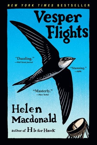 cover of Vesper Flights, a black and gray bird (drawn) against a blue background