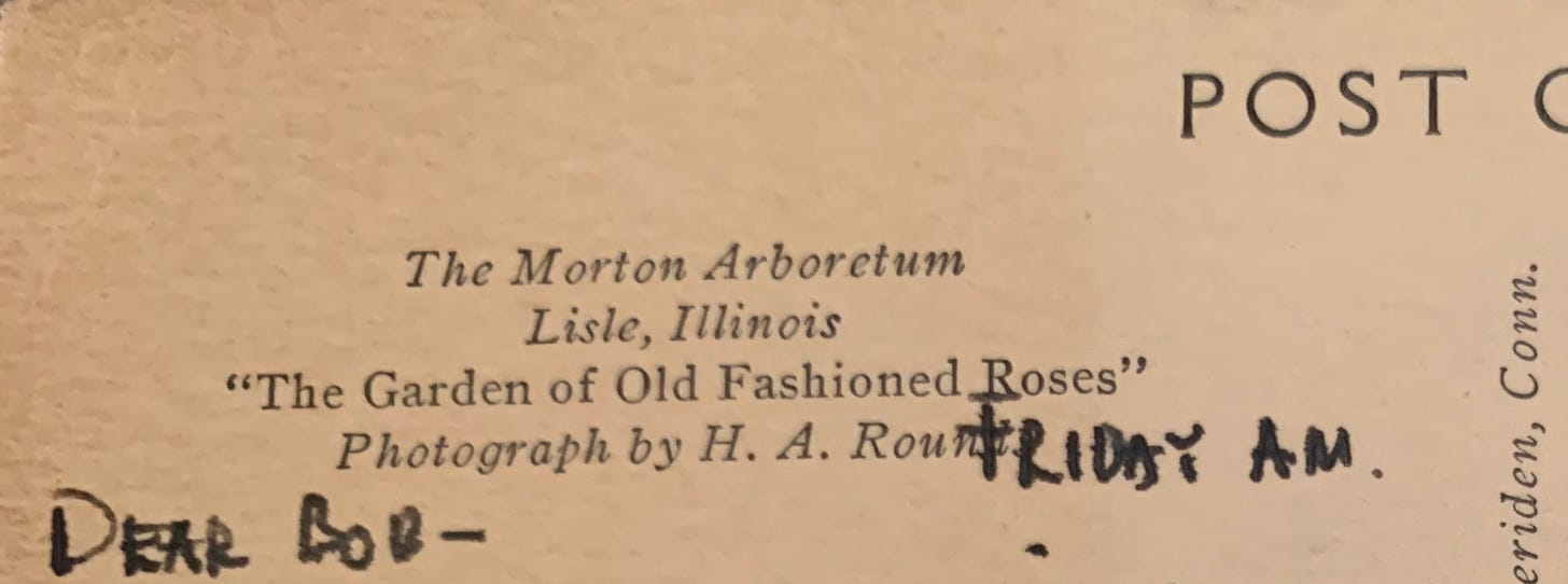Portion of the flip side of postcard that reads "The Morton Arboretum Lisle, Illinois 'The Garden of Old Fashioned Roses' Photograph by H. A. Rounds" Written over top of the photographer's last name is "Friday AM" and underneath, "Der Bob -"