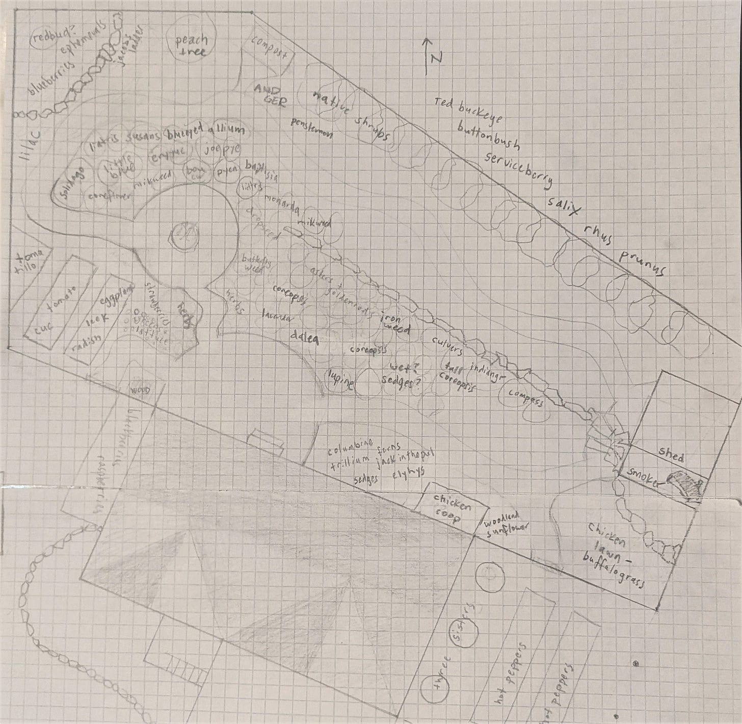 Pencil sketch on graph paper showing the layout of a backyard.
