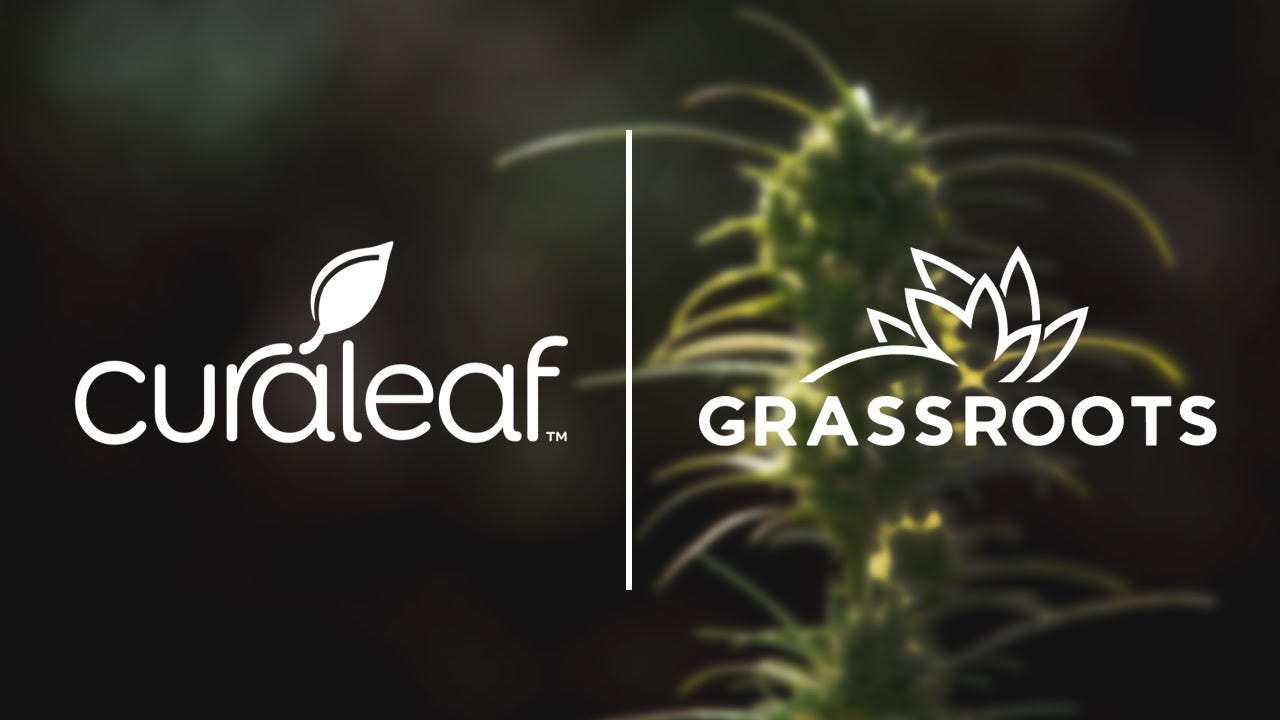 Curaleaf Holdings Acquires Grassroots Cannabis - YouTube