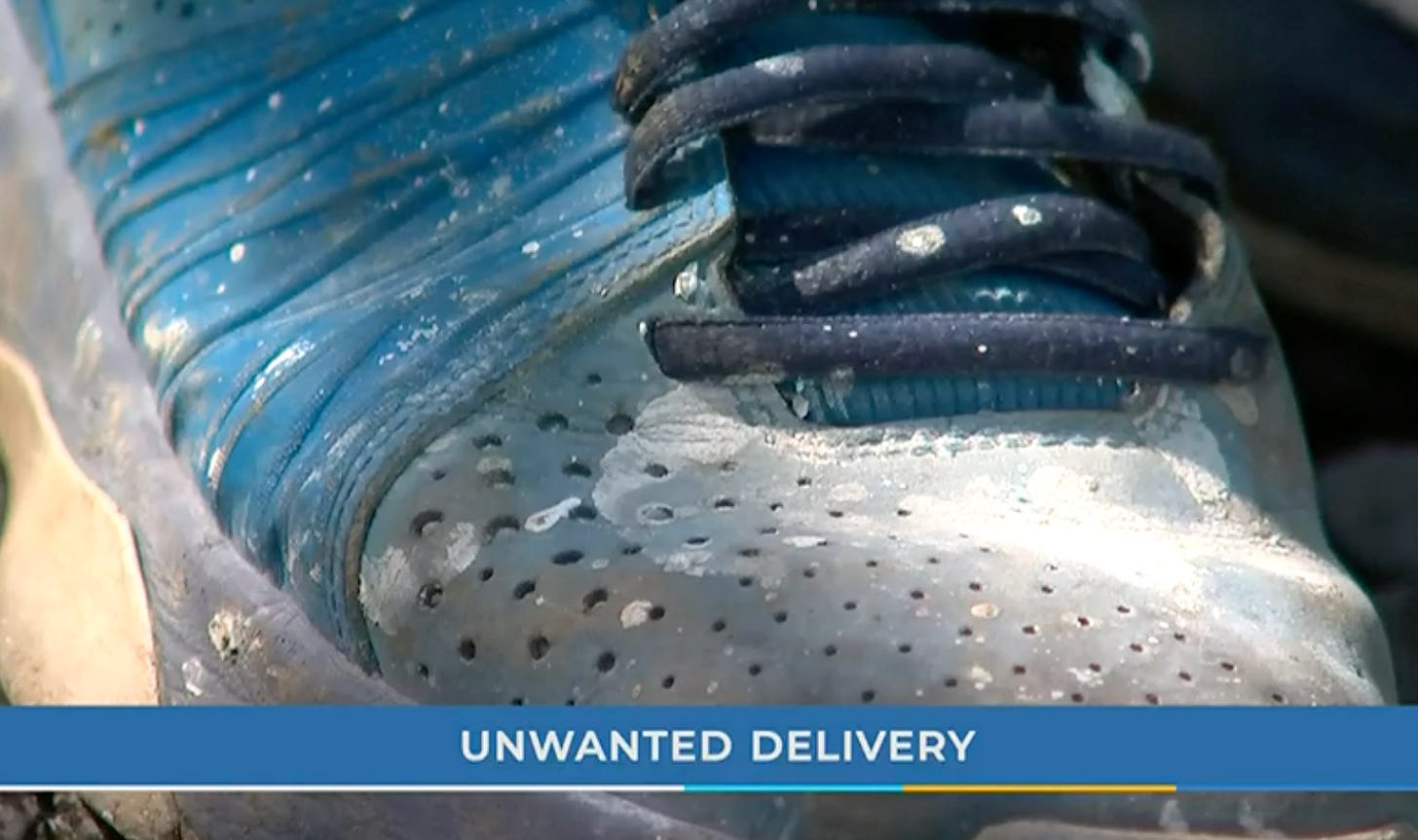 A news report still of a white tennis shoe with the words "unwanted delivery" appearing at the bottom