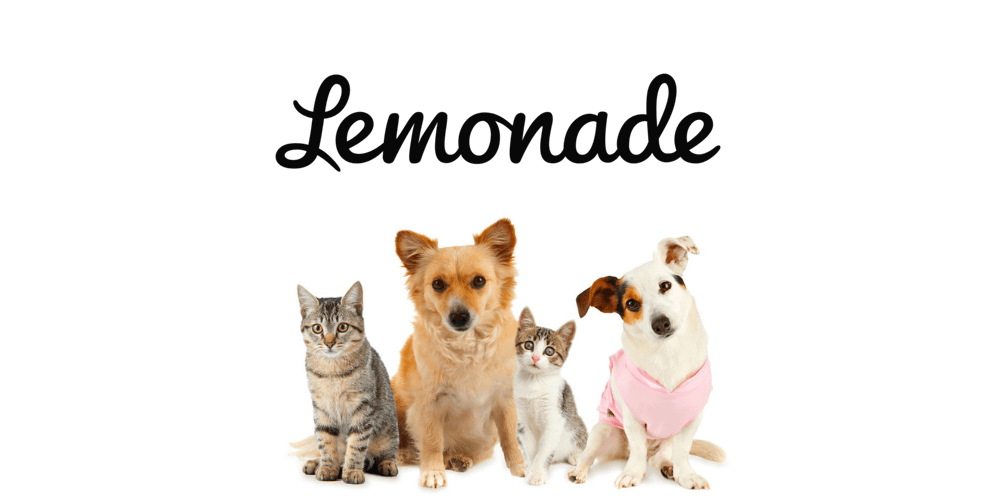 2021 Lemonade Pet Insurance Review - 365 Pet Insurance