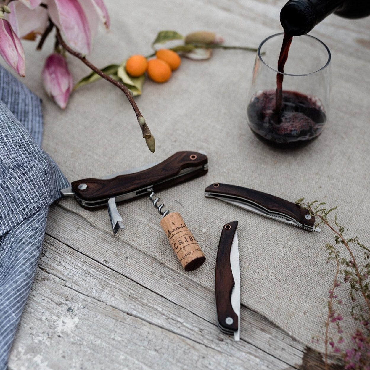 Folding Picnic Knife - Cool Material