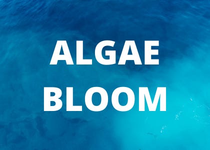 waterloop algae bloom